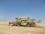 Kombajn CLAAS Mega 208